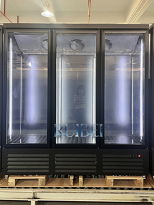 Congélateur Vitrine <span class=keywords><strong>Commercial</strong></span> Vertical à Température Unique avec Ventilateur Réglable et Porte Vitrée, Capacité 401-600L - Product Image 5