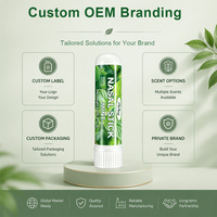 Stik Aromaterapi Nasal Revitalisasi Penyejuk Dingin Ekstrak Botani Pabrik, Pelepas Hidung Tersumbat Instan dengan Aroma Eucalyptus dan Wild Mint