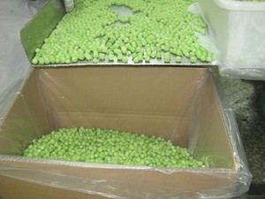 7 - 11 cm SANS OGM Vert Surgelé IQF <span class=keywords><strong>Pois</strong></span> de Jardin - Product Image 4