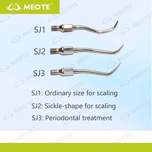 1 Uds SJ1 SJ2 SJ3 puntas <span class=keywords><strong>de</strong></span> escalador <span class=keywords><strong>Dental</strong></span> limpiador <span class=keywords><strong>de</strong></span> dientes apto para escalador <span class=keywords><strong>de</strong></span> aire pieza <span class=keywords><strong>de</strong></span> mano puntas <span class=keywords><strong>de</strong></span> tratamiento periodontal herramientas <span class=keywords><strong>de</strong></span> odontología - Product Image 6