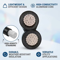 Cable Aéreo de Aluminio Trenzado, Aislamiento de XLPE y PVC, 600V/0.6kV, Retardante de Llama, 6mm, para Alumbrado Público Municipal