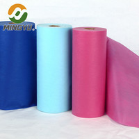 Biodégradable PP Rpet Spunbonded Non-tissé rouleaux polypropylène gaufré recyclable Tnt Non tissé Pet Pla tissu non tissé