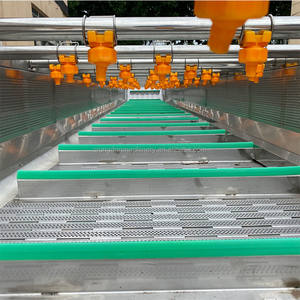 Máquina Automática para Lavar Chiles, Calabazas, Espinacas, Uvas, Frutas, Mangos, Guayabas y Ajos con Burbujas de Aire - Product Image 3