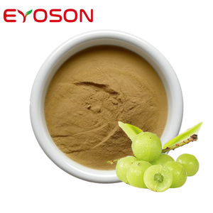 Vente en gros d'aliments biologiques 10:1 Phyllanthus Emblica extrait de fruit en poudre naturel <span class=keywords><strong>Amla</strong></span> poudre de jus pur naturel en vrac <span class=keywords><strong>Amla</strong></span> - Product Image 1