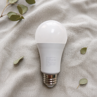 Ampoule LED professionnelle pour photographie CRI97 Seoul 3030 Spectre complet 120V E26 Dimmable Sans scintillement Lumière naturelle du soleil