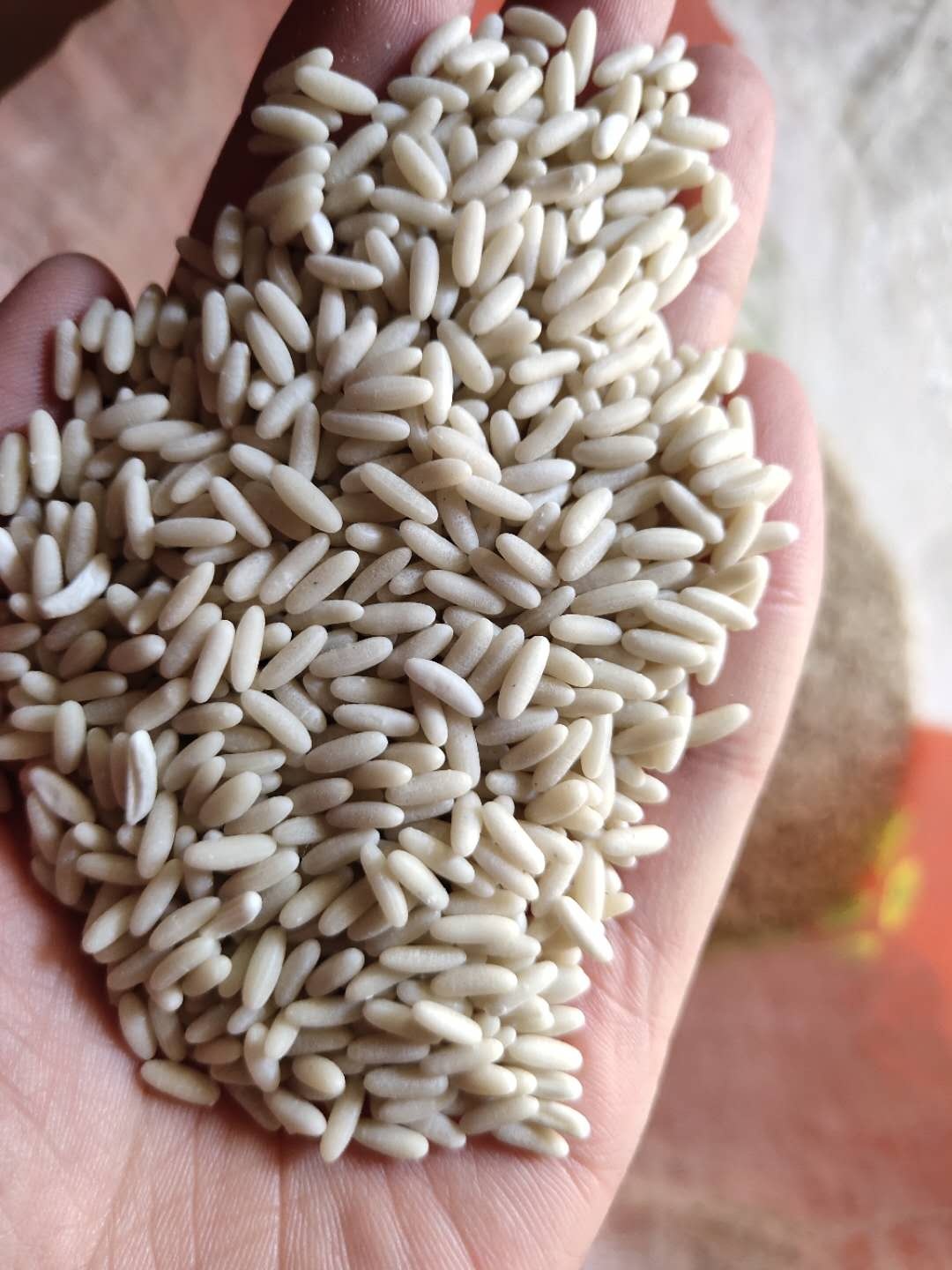 201 304 SS Artificial Rice Making Fortified Rice Machinery Plant 150kg/H