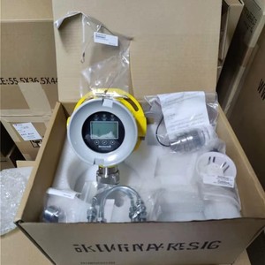 Hot-selling Original - FGM-<b>3100</b> FGM-3100S RAEAlert Gas Detector Portable Industrial Toxic Monitoring Alarm Device - Product Image 3
