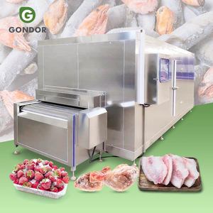 Machine de congélation rapide à l'azote liquide pour frites, modèle Durian Big Fast Malaysia Blast - Product Image 1
