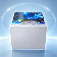 Afficheur numérique OLED transparent personnalisable de 55 pouces avec une résolution de 1920x1080 pour la publicité dans les ascenseurs, les centres commerciaux et les métros