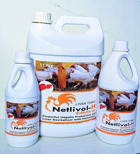 Suplemento Alimenticio de Alta Calidad para el Apoyo Hepático de Aves de Corral, para Pollos de Engorde, Gallinas Ponedoras y Nutrición Diaria en Granjas - Product Image 1