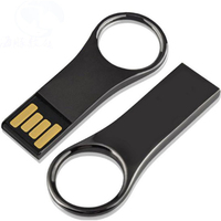 Gantungan Kunci Logam Custom dengan Flash Drive USB 2.0/3.0 Memory Stick OEM/ODM