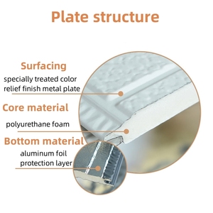 Pannello Sandwich in acciaio zincato 16/20mm rivestimento in mattoni per pareti esterne per la costruzione - Product Image 5