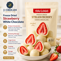 Fresas Liofilizadas con Chocolate Blanco, Dulce de Frutas Premium, 58g, 40 Bolsas, 12 Meses de Caducidad, Listo para Comer, OEM, Marca Privada