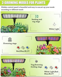 Lampe intelligente réglable pour la croissance des plantes Cuisine intérieure <span class=keywords><strong>Petit</strong></span> <span class=keywords><strong>potager</strong></span> 9 trous Système hydroponique intérieur simple - Product Image 4