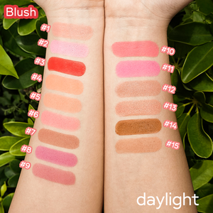 Nouveaux Arrivages Palette DIY Fard à Joues Bronzant Individuel Prix Usine Vegan, Fard à Joues Libre, Maquillage Contouring et Illuminateur Beauté Sous Marque Privée - Product Image 5