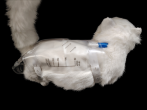 Bolsa de orina veterinaria, bolsa de recolección de orina desechable extraíble para gatos y perros, 300ml, 150ml, <span class=keywords><strong>Vete</strong></span> - Product Image 6