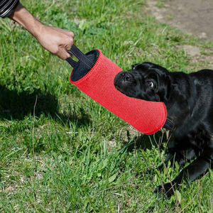 कुत्ते टग खिलौना भारी शुल्क जूट पिल्ला के लिए पिल्ला के लिए बड़े कुत्तों के लिए टिकाऊ इंटरैक्टिव प्रशिक्षण उपकरण - Product Image 5