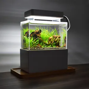 Relax lines neues dekoratives Aquarium für den Home-Desktop mit ultra weißem Glas und leisem System eines kleinen Aquariums