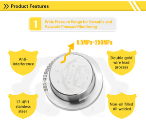 Độ nhạy cao 6Mpa ~ 250mpa giá cả cạnh tranh sputtered màng mỏng MEMS dựa trên cảm biến áp suất - Product Image 5