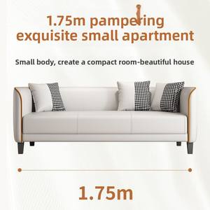 <span class=keywords><strong>Sofa</strong></span> kecil mewah untuk penyewaan/apartemen: minimalis Modern, kain teknologi <span class=keywords><strong>2</strong></span> tempat duduk, kompak untuk ruang tamu kecil untuk penggunaan di rumah. - Product Image 4