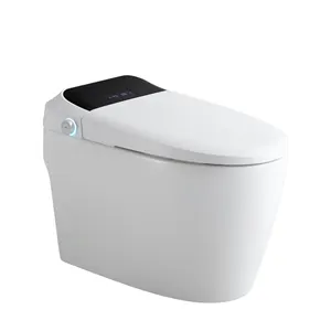 Intelligent Japanese Sanitary Ware Electronic One Piece Ceramic Tankless Bidet toto Smart Toilet