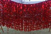 DT002 Décoration de fond photographique pour événements et fêtes, Meilleure vente, Effet cascade de paillettes suspendues réfléchissantes argent, rouge, noir, jaune