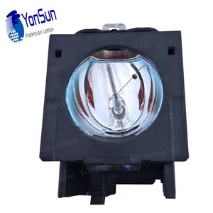 Original Quality R9842807 OVERVIEW D3 Projector lamp with Housing