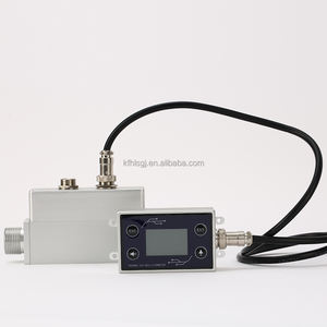 Dapat disesuaikan CO2 LPG Nitrogen Gas tampilan <span class=keywords><strong>Digital</strong></span> meteran aliran massa termal meteran konstruksi plastik untuk udara cair OEM - Product Image 6