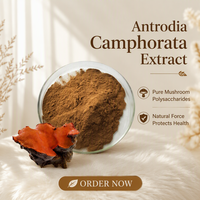 Polysaccharide d'Antrodia Camphorata de haute qualité 30% 50% Ingrédient naturel Extrait de poudre d'Antrodia Camphorata