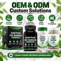 Complément Brûleur de Graisse à Marque Blanche avec Garcinia Cambogia, Thé Vert, L-Carnitine, Bloqueur de Glucides, Capsules de Soutien Métabolique