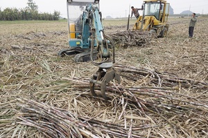 Nouveau grappin de rotateur de direction de dérapage hydraulique Grappin de griffe de bois de bois pour tracteur pour les fermes avec moteur et pompe fiables - Product Image 3