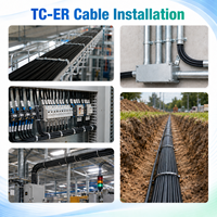 Cable Eléctrico TC-ER para Instalación Expuesta, Cable de Control de Energía con Cubierta de PVC UL1277 y Cobre