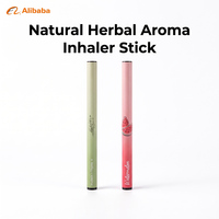 Stylo Inhalateur d'Aromathérapie Naturelle aux Herbes en Gros – Bâtonnet Parfumé Frais pour la Relaxation et le Bien-être Quotidien – Format de Poche – Fabrication OEM ODM