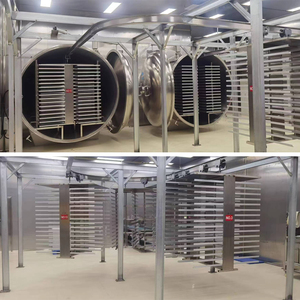 Liofilizador Industrial de 160 kg con Bomba de Vacío Sin Aceite para un Secado Libre de Contaminación - Product Image 5