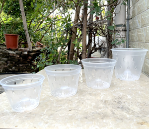 Vaso Trasparente in <span class=keywords><strong>Plastica</strong></span> PP Rigida per Orchidee Phalaenopsis, Contenitore Sospeso con Colonna d'Aria e Drenaggio Inferiore per Casa e <span class=keywords><strong>Giardino</strong></span> - Product Image 5