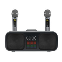 Haut-parleur Subwoofer TD-SD-318 avec Double Microphones, haut-parleur karaoké sans fil, portable, pour fête en plein air, ktv