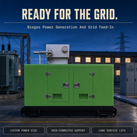 Générateur diesel 90 kW, prix avec sortie 220V, groupe électrogène de puissance de pointe avec radiateur en cuivre
