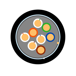 Câble LAN Testé F/UTP CAT5E 26AWG Cuivre Étamé PE+AL Foil Plenum Grade LSZH CMP Câble Ethernet Câbles de Communication - Product Image 5