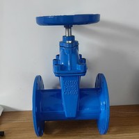 Vanne à opercule universelle à joint souple DN40-DN200, grand diamètre, température normale, 2 cadenas, norme nationale