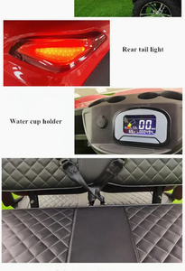 Buggy Eléctrico Todoterreno de 4 Plazas Directo de Fábrica con Batería de Litio, Acero Inoxidable, Velocidad Máxima de 24 km/h, Capacidad de Carga de 300 kg - Product Image 4