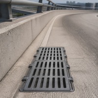Grille de drainage en fonte pour zone d'entrée de métro, robuste, à fentes, pour système de drainage des eaux municipales