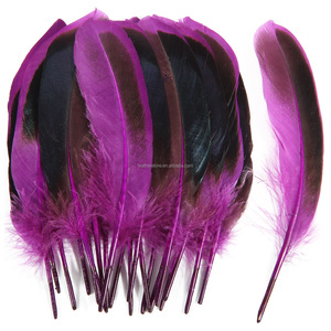 Plumas <span class=keywords><strong>de</strong></span> Pato Naturales Teñidas Directamente, 10-15 cm, Buena Calidad, para Manualidades, Joyería <span class=keywords><strong>y</strong></span> Decoración, Oferta - Product Image 4