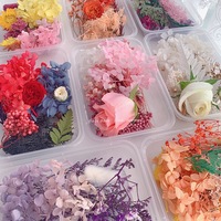 Kit de matériaux DIY de fleurs séchées colorées fantaisie, fleurs préservées pour la décoration de gâteaux, cadre photo, fournitures artisanales, décoration de cadeaux