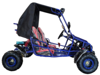 Dune Buggy automatique 125cc à vendre Transmission à entraînement par chaîne cylindrée 110cc équipée d'un blocage de différentiel