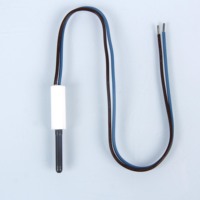 Allumeur en nitrure de silicium Heatfounder de haute qualité 230V 350W pour barbecue à granulés