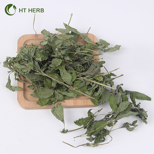 Trà Hương Lá Bạc Hà Lá Bạc Hà Rau Thơm Khô Chất Lượng Cao - Product Image 5