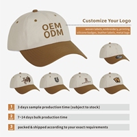 Gorras de Béisbol Bordadas Personalizadas 100% Poliéster, Gorras para Exteriores, Fabricante OEM/ODM, Venta al Por Mayor Directa de Fábrica, MOQ Bajo, Unisex