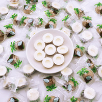 Vente en gros de bonbons à coquille de noix de coco en tranches tranches de lait pour enfants collation au fromage au lait bonbons à la noix de coco tablette de bonbons au lait sec