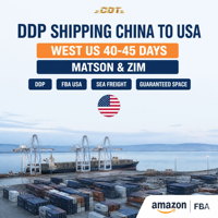Meilleur agent maritime chinois pour l'Australie, service de transitaire DDP porte-à-porte, service de dédouanement, expédition de la Chine vers les États-Unis