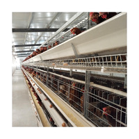 Matériel D'élevage De Volaille automatique Batterie Oeuf Couche Cage de Poulet pour Poules Pondeuses